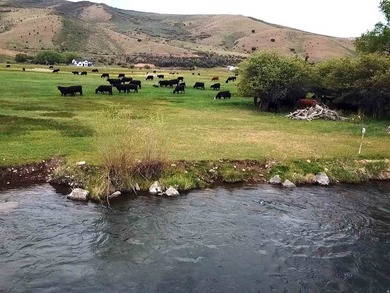 Discover the Lower Parcels of a rare 260acre legacy ranch - photo 1