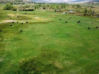 Discover the Lower Parcels of a rare 260acre legacy ranch - photo 4