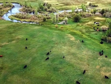 Discover the Lower Parcels of a rare 260acre legacy ranch - photo 5
