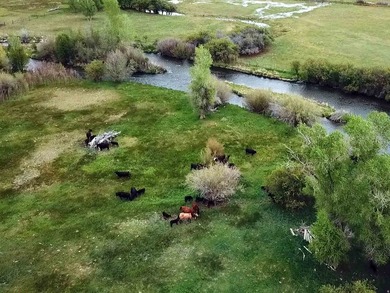 Discover the Lower Parcels of a rare 260acre legacy ranch - photo 7
