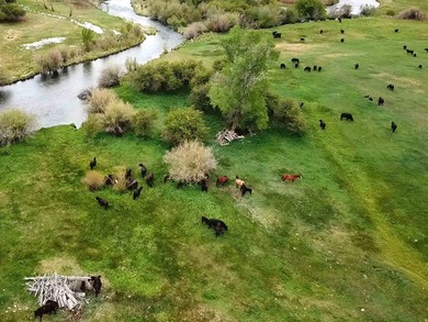 Discover the Lower Parcels of a rare 260acre legacy ranch - photo 8