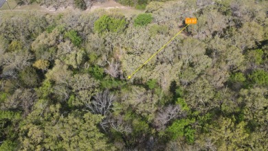 Beautiful treed 1.57 Ac  Corner Oasis - photo 21