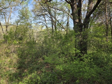 Beautiful treed 1.57 Ac  Corner Oasis - photo 37