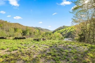 At nearly 3,500 ft elevation, this 8.06-acre mountain property - photo 13