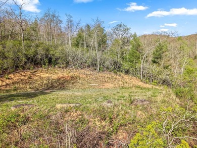 At nearly 3,500 ft elevation, this 8.06-acre mountain property - photo 15