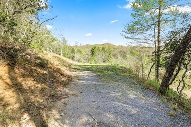 At nearly 3,500 ft elevation, this 8.06-acre mountain property - photo 21