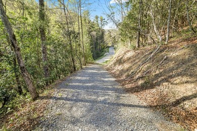 At nearly 3,500 ft elevation, this 8.06-acre mountain property - photo 22