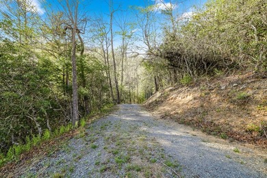 At nearly 3,500 ft elevation, this 8.06-acre mountain property - photo 23