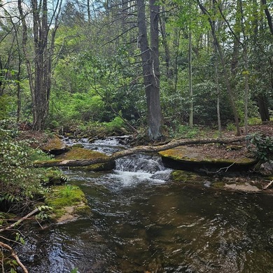 At nearly 3,500 ft elevation, this 8.06-acre mountain property - photo 30