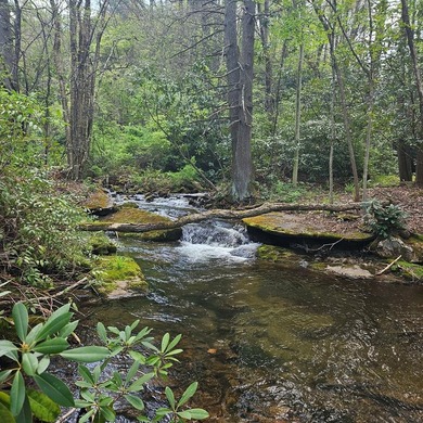 At nearly 3,500 ft elevation, this 8.06-acre mountain property - photo 31