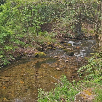At nearly 3,500 ft elevation, this 8.06-acre mountain property - photo 32