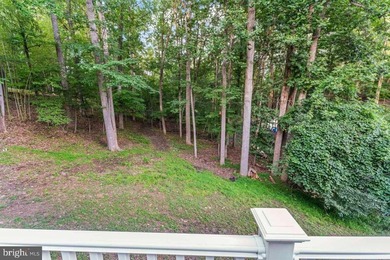 Stunning Colonial in Coveted Aquia Harbour - Modern Charm Meets - photo 34