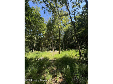 Ohio River Lot For Sale in Goshen Kentucky