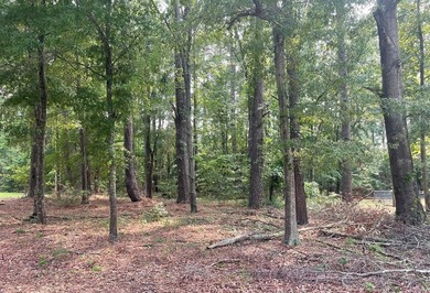 Lake Marion Lot For Sale in Summerton South Carolina