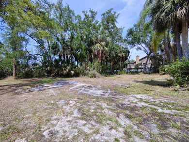 Zoned R-4, One, Two & Three Family Residential. Purchase both - photo 9