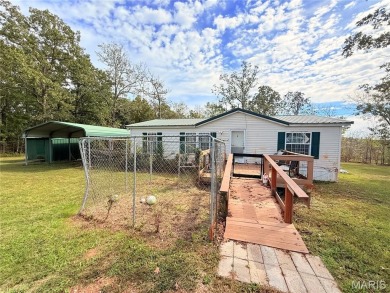 Wappapello Lake Home For Sale in Wappapello Missouri