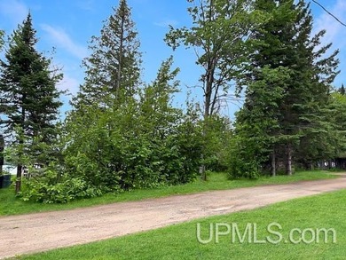 Experience true Northwoods living with this charming waterfront - photo 27