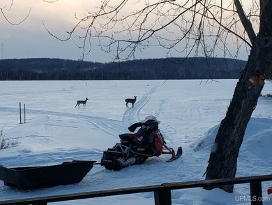 Experience true Northwoods living with this charming waterfront - photo 28
