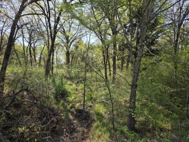 Beautiful treed 1.57 Ac  Corner Oasis - photo 6