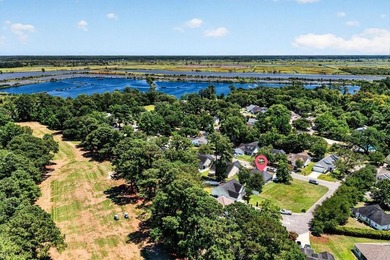 Welcome to 146 Robert Conway Court, a beautifully maintained - photo 39