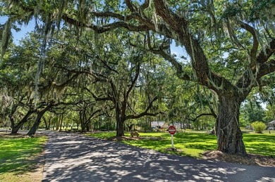 Welcome to 146 Robert Conway Court, a beautifully maintained - photo 40