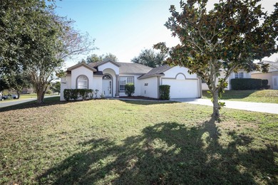 Lake Harris Home For Sale in Leesburg Florida