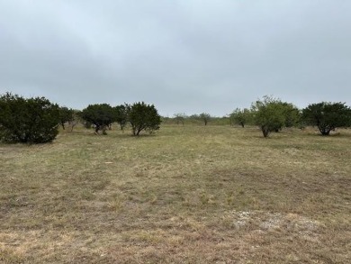 Possum Kingdom Lake Lot For Sale in Graford Texas