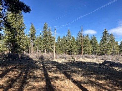 This Land has WELL and SEPTIC on its property. This Super 2.21 - photo 11