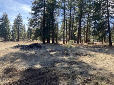 This Land has WELL and SEPTIC on its property. This Super 2.21 - photo 12
