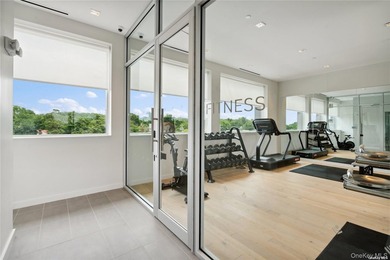 The only new construction condominium building in Great Neck, NY - photo 13