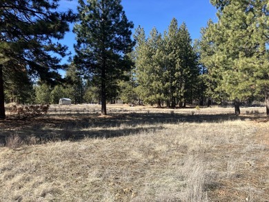 This Land has WELL and SEPTIC on its property. This Super 2.21 - photo 13