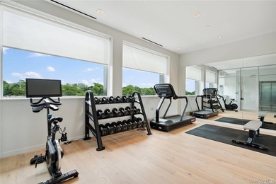 The only new construction condominium building in Great Neck, NY - photo 14