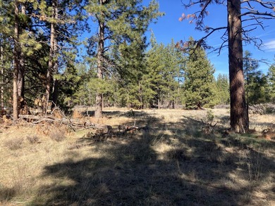 This Land has WELL and SEPTIC on its property. This Super 2.21 - photo 14