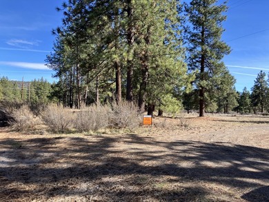 This Land has WELL and SEPTIC on its property. This Super 2.21 - photo 15