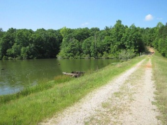 (private lake) Commercial For Sale in Midland Georgia
