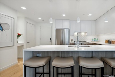 The only new construction condominium building in Great Neck, NY - photo 22