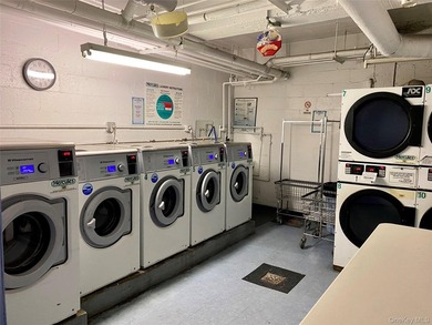 Prime downtown Flushing location - this studio is just a few - photo 10