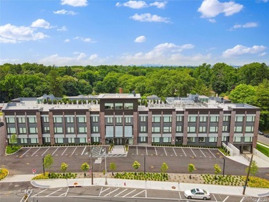 The only new construction condominium building in Great Neck, NY - photo 36