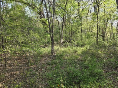 Beautiful treed 1.57 Ac  Corner Oasis - photo 17