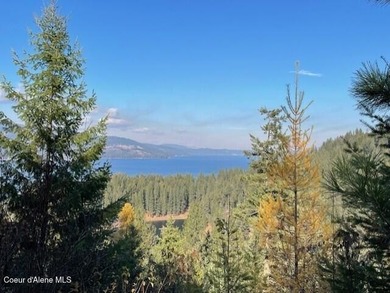 Presenting a rare North Idaho offering nearly 39 acres of - photo 15