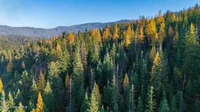 Presenting a rare North Idaho offering nearly 39 acres of - photo 16