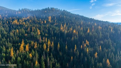 Presenting a rare North Idaho offering nearly 39 acres of - photo 17
