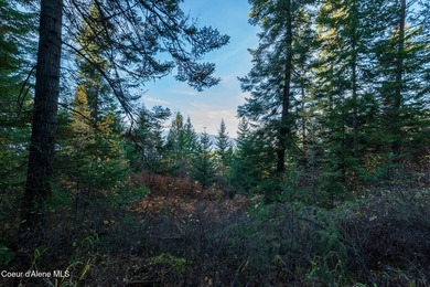 Presenting a rare North Idaho offering nearly 39 acres of - photo 21