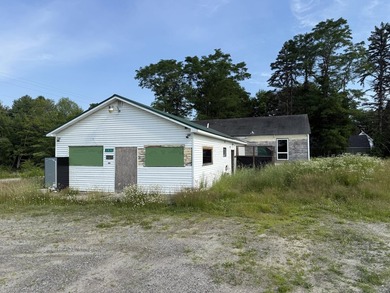 Interior gutted to studs. Property is zoned for many uses - photo 2
