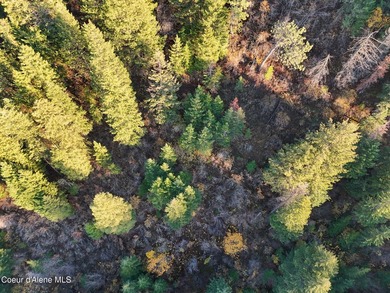 Presenting a rare North Idaho offering nearly 39 acres of - photo 23