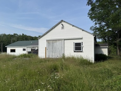 Interior gutted to studs. Property is zoned for many uses - photo 3