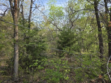 Beautiful treed 1.57 Ac  Corner Oasis - photo 8