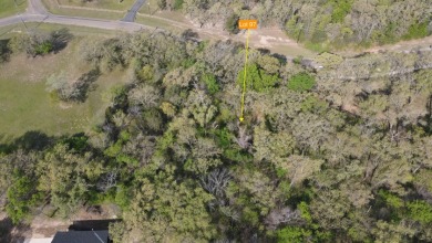 Beautiful treed 1.57 Ac  Corner Oasis - photo 40
