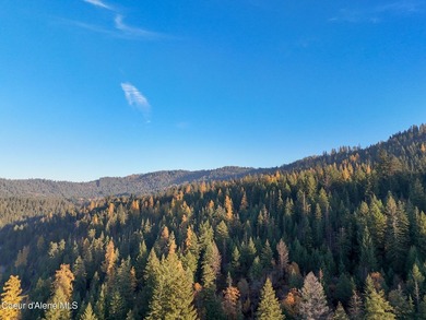 Presenting a rare North Idaho offering nearly 39 acres of - photo 32