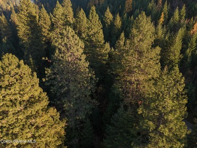 Presenting a rare North Idaho offering nearly 39 acres of - photo 33